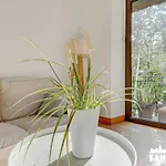 Kortazar By Sanse Holidays * サン・セバスティアン